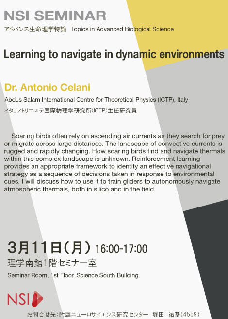 Seminar Dr. Antonio Celani