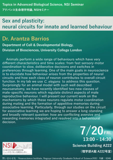 Seminar Dr. Arantza Barrios